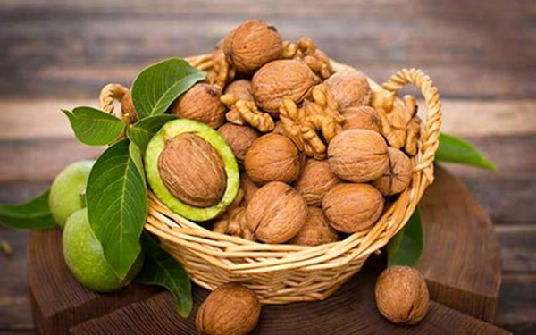 تصویر 5 از قیمت خرید گردو پوست کاغذی ایرانی با فروش عمده